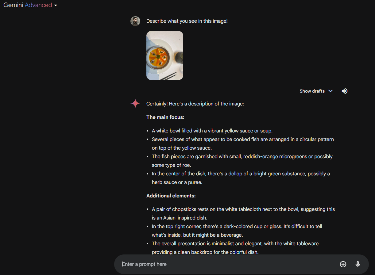 Gemini Advanced AI Analyzing Food